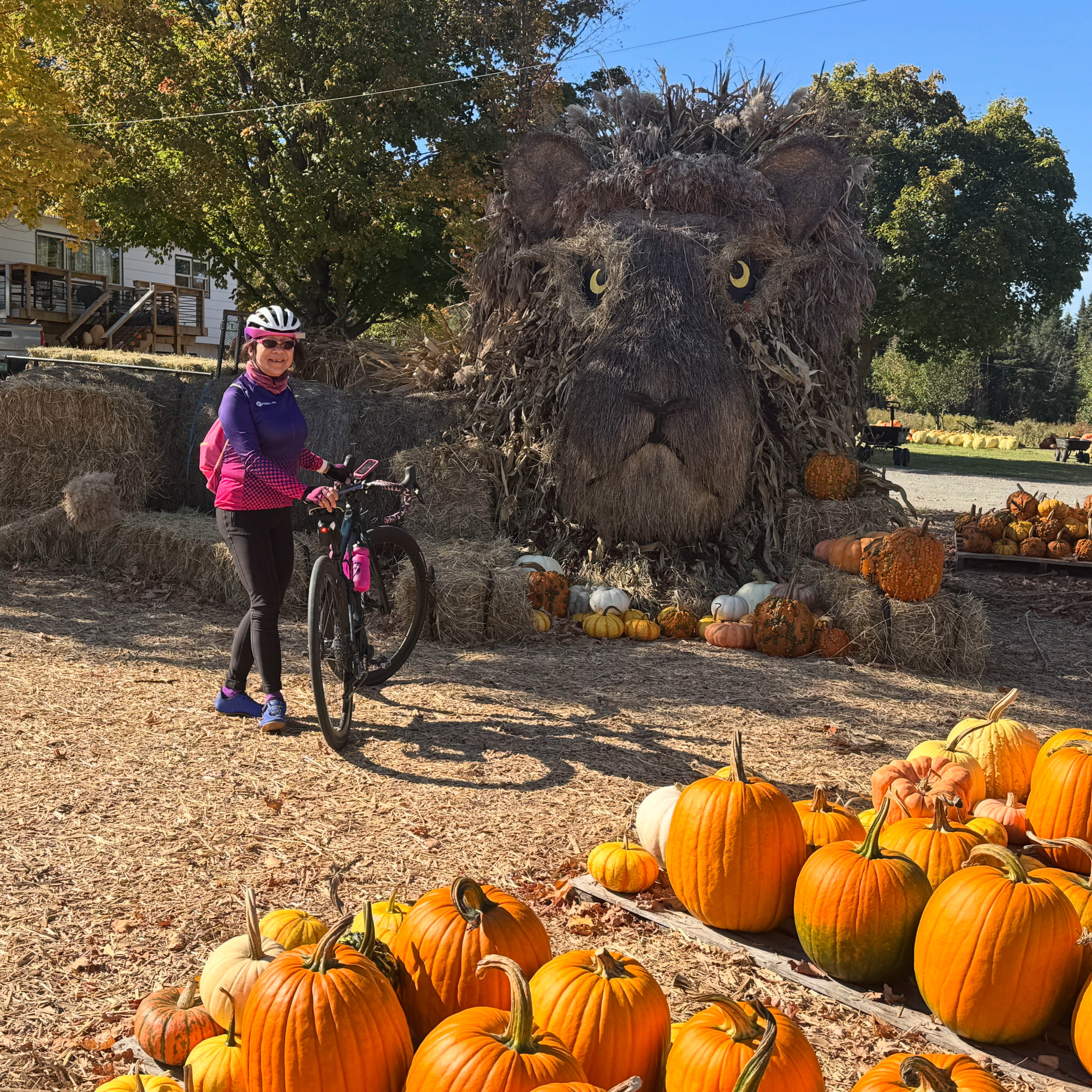 Schorow unnamed-2.jpg